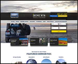 Irene Ryn Real Estate website screenshot